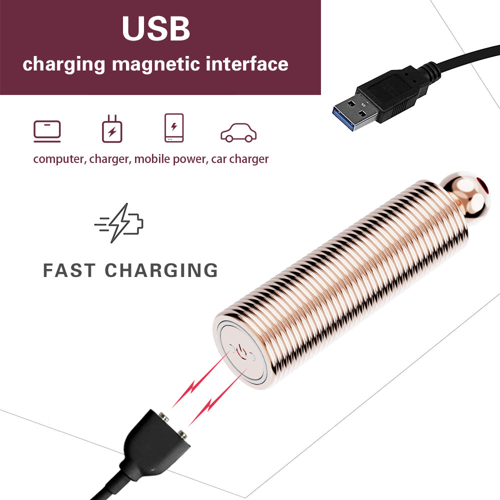 Fancy Teasing Vibrador Masajeador Juguete Sexual