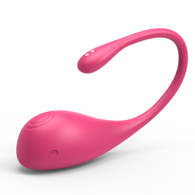 Remote Control Egg with Flapping Vibration Sex Toy Massager Stimulator